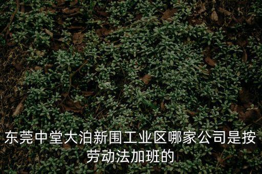 東莞中堂大泊新圍工業區哪家公司是按勞動法加班的