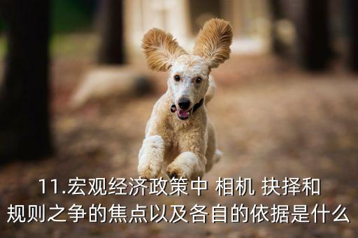 11.宏觀經濟政策中 相機 抉擇和規則之爭的焦點以及各自的依據是什么