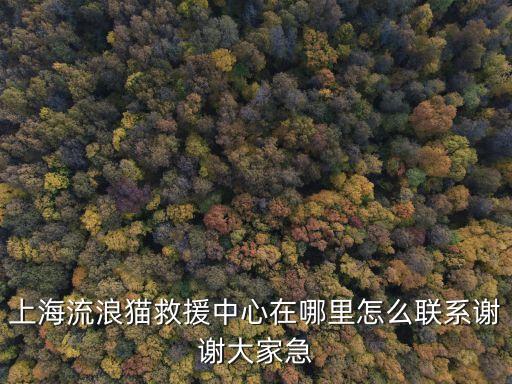 上海市求助管理二站地址，想知道 上海市 上海救助站總站在哪里 我坐那個(gè)車