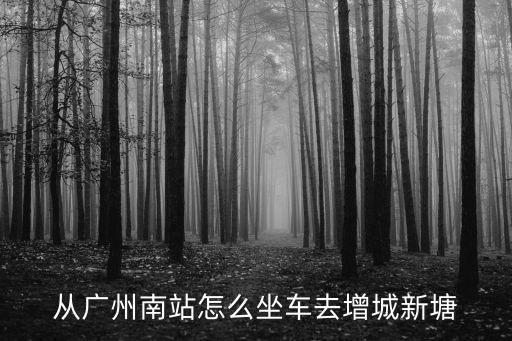 從廣州南站怎么坐車去增城新塘