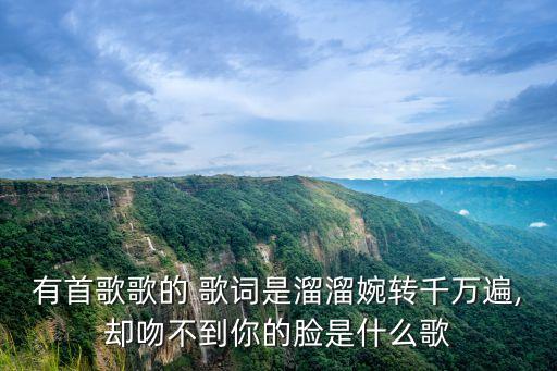 相見恨晚歌詞,歌詞相見恨晚是哪首歌?