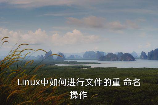 linux重命名,linux下如何進(jìn)行文件重命名?