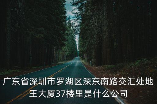 廣東省深圳市羅湖區深東南路交匯處地王大廈37樓里是什么公司