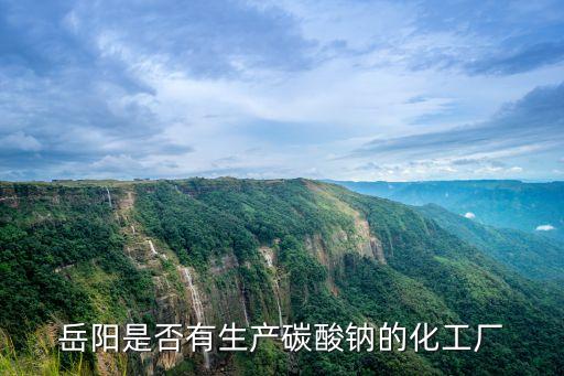 東莞市恒生工貿有限公司，中國發動機供應商被哪個公司注冊啦