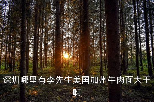 深圳哪里有李先生美國加州牛肉面大王啊