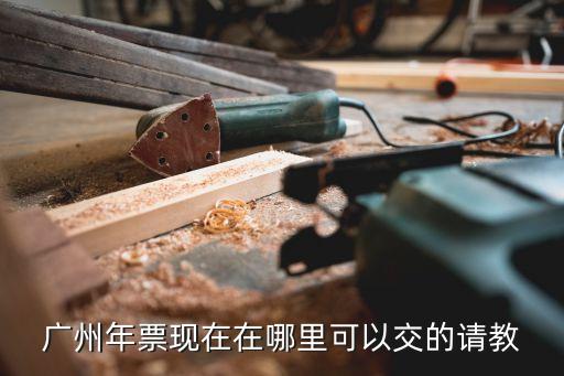 廣州補繳年票地點，請問廣州的汽車年票可以去哪代繳啊