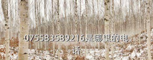 075583589216是哪里的電話