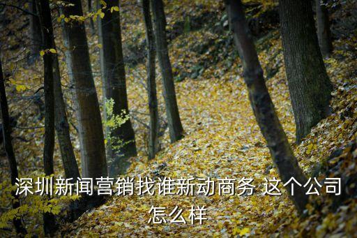 深圳新聞營銷找誰新動商務 這個公司怎么樣