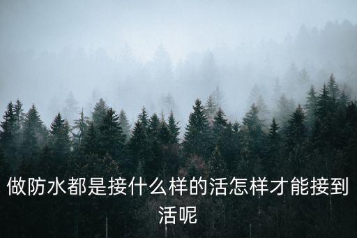 做防水都是接什么樣的活怎樣才能接到活呢
