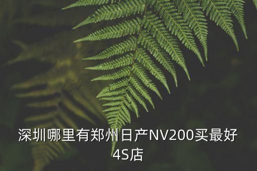 深圳龍崗改裝nv200在哪里，龍崗哪有改裝汽車的