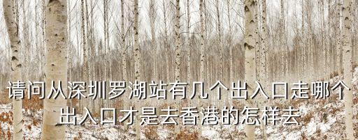 深圳羅湖站有幾個出口，深圳羅湖火車站有幾個出口