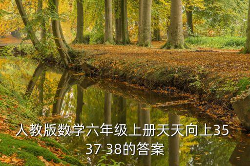 上海市六下數(shù)學(xué)天天向上答案，數(shù)學(xué)天天向上