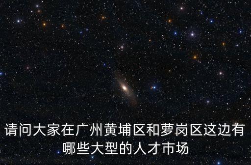 請(qǐng)問(wèn)大家在廣州黃埔區(qū)和蘿崗區(qū)這邊有哪些大型的人才市場(chǎng)