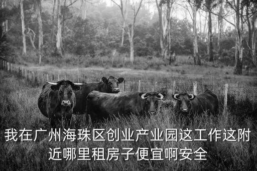 我在廣州海珠區創業產業園這工作這附近哪里租房子便宜啊安全
