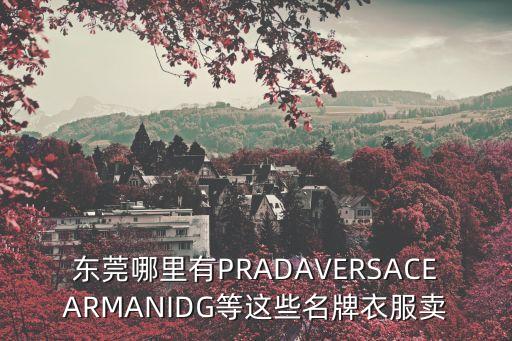 東莞哪里有PRADAVERSACEARMANIDG等這些名牌衣服賣