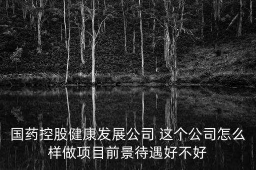國藥控股健康發展公司 這個公司怎么樣做項目前景待遇好不好
