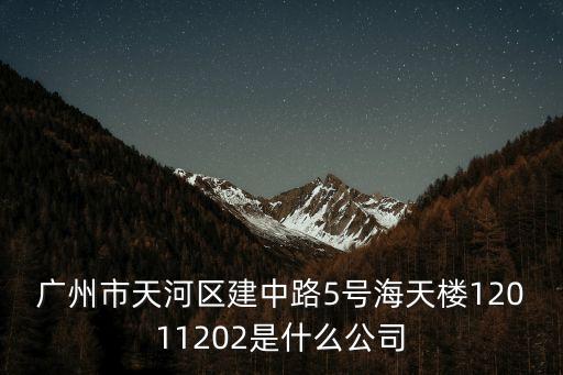 廣州市天河區建中路5號海天樓12011202是什么公司