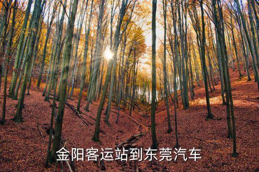 金陽客車站到東莞總站要多久，金陽客運站到東莞汽車