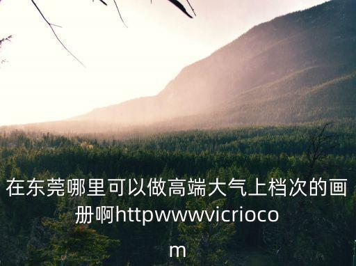 在東莞哪里可以做高端大氣上檔次的畫冊啊httpwwwvicriocom