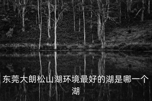 東莞大朗松山湖環境最好的湖是哪一個湖