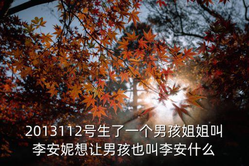 2013112號生了一個男孩姐姐叫李安妮想讓男孩也叫李安什么