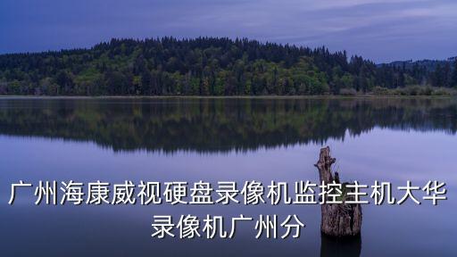 廣州海康威視硬盤錄像機監控主機大華錄像機廣州分