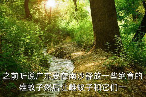 之前聽說廣東要在南沙釋放一些絕育的雄蚊子然后讓雌蚊子和它們一