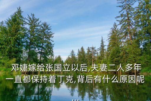 鄧婕前夫,鄧婕的前夫是誰?鄧婕與前夫有孩子嗎?