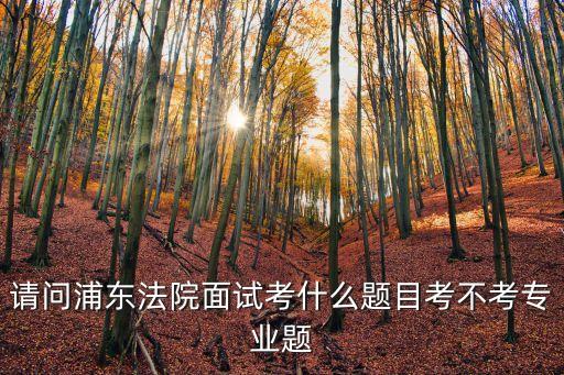 請問浦東法院面試考什么題目考不考專業題