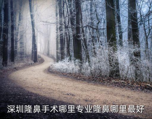 深圳隆鼻哪里做的好，深圳隆鼻醫院哪里最最好急急急