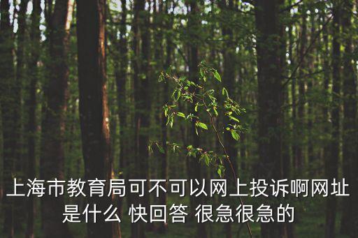 上海市教育委員會投訴，上海市教育局可不可以網上投訴啊網址是什么 快回答 很急很急的