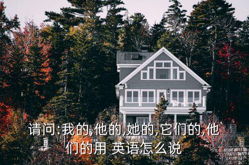 請問:我的,他的,她的,它們的,他們的用 英語怎么說