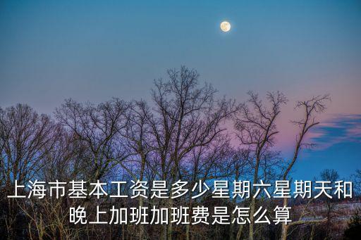 上海市政府工資指導，上海行政專員工資一般多少