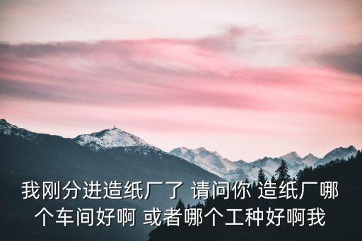我剛分進造紙廠了 請問你 造紙廠哪個車間好啊 或者哪個工種好啊我