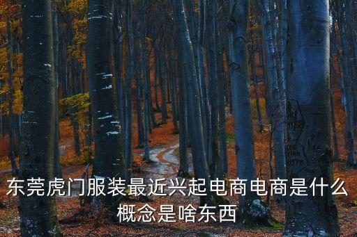 東莞虎門服裝最近興起電商電商是什么概念是啥東西