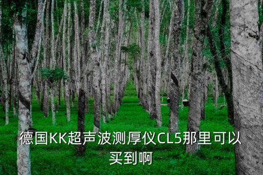 德國KK超聲波測厚儀CL5那里可以買到啊