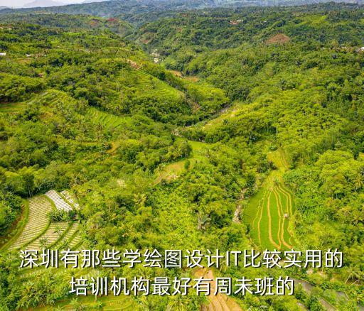 深圳有那些學(xué)繪圖設(shè)計(jì)IT比較實(shí)用的培訓(xùn)機(jī)構(gòu)最好有周未班的