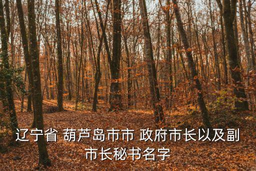 遼寧省 葫蘆島市市 政府市長以及副市長秘書名字