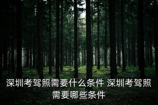 深圳報考駕照，深圳考駕駛證要怎樣的過程需要多少錢