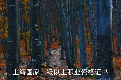 上海國家二級以上職業資格證書