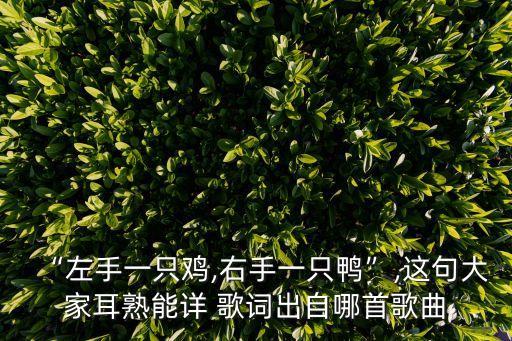 “左手一只雞,右手一只鴨”,這句大家耳熟能詳 歌詞出自哪首歌曲