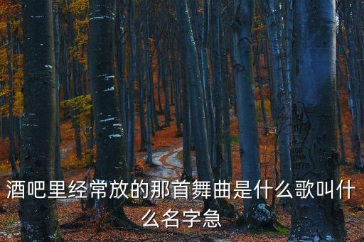 酒吧里經常放的那首舞曲是什么歌叫什么名字急