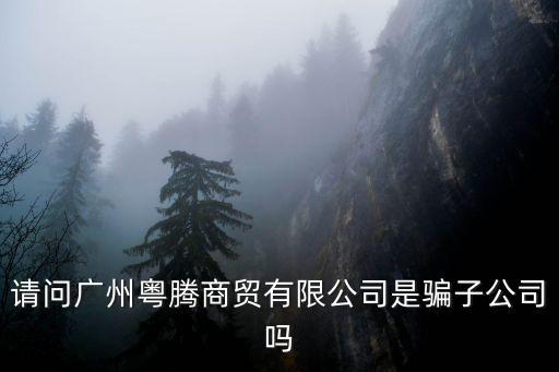 請問廣州粵騰商貿(mào)有限公司是騙子公司嗎