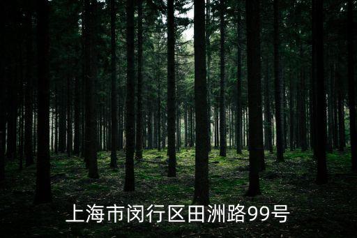 上海市閔行區(qū)田洲路99號(hào)