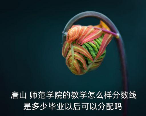  唐山 師范學院的教學怎么樣分數線是多少畢業以后可以分配嗎
