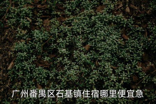 廣州番禺石基房子，廣州番禺石基中心小學附近樓盤多少錢一平方米