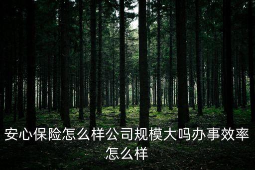 深圳安心保險公司，最近一直聽人提到安心保險這是個新公司以前沒聽說過啊