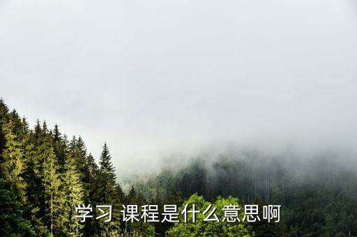 學習 課程是什么意思啊