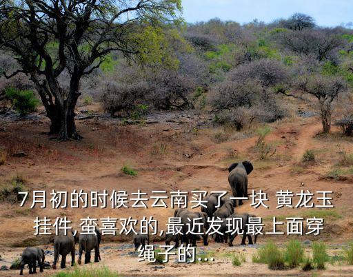 黃龍玉掛件,你知道這個掛件是黃龍玉嗎?