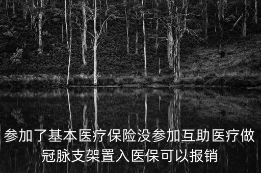 參加了基本醫(yī)療保險(xiǎn)沒參加互助醫(yī)療做冠脈支架置入醫(yī)?？梢詧?bào)銷